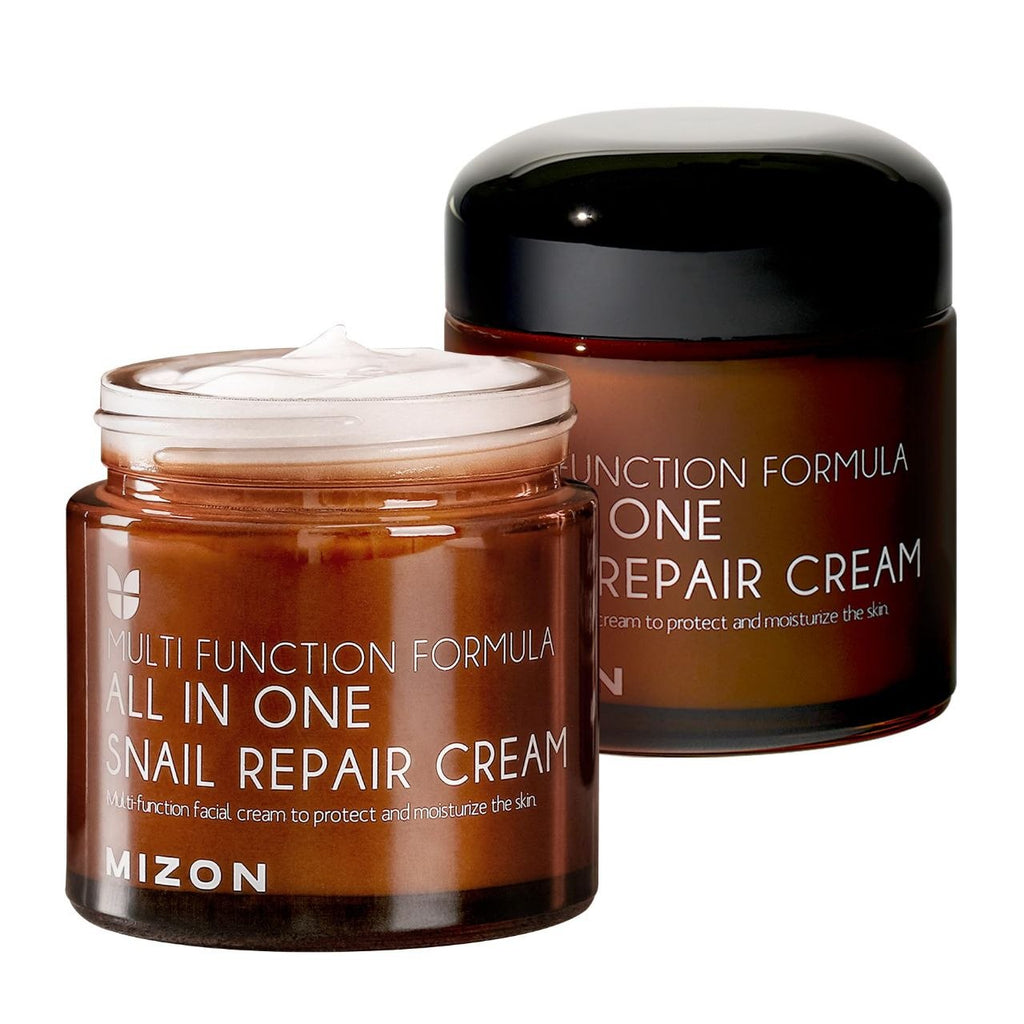 MIZON MULTI FUNCTION formula ALL IN ONE SNAIL REPAIR CREAM 75ml