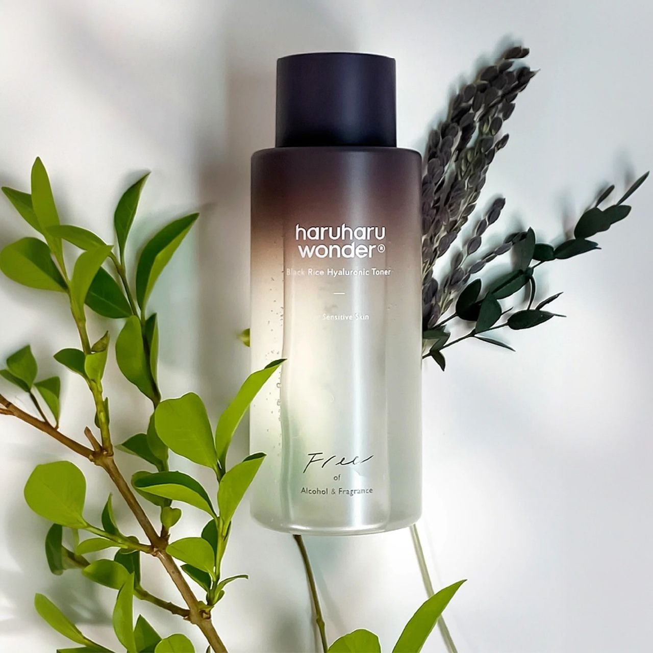 Haruharu Wonder Riso Nero Hyaluronic Toner 150ml
